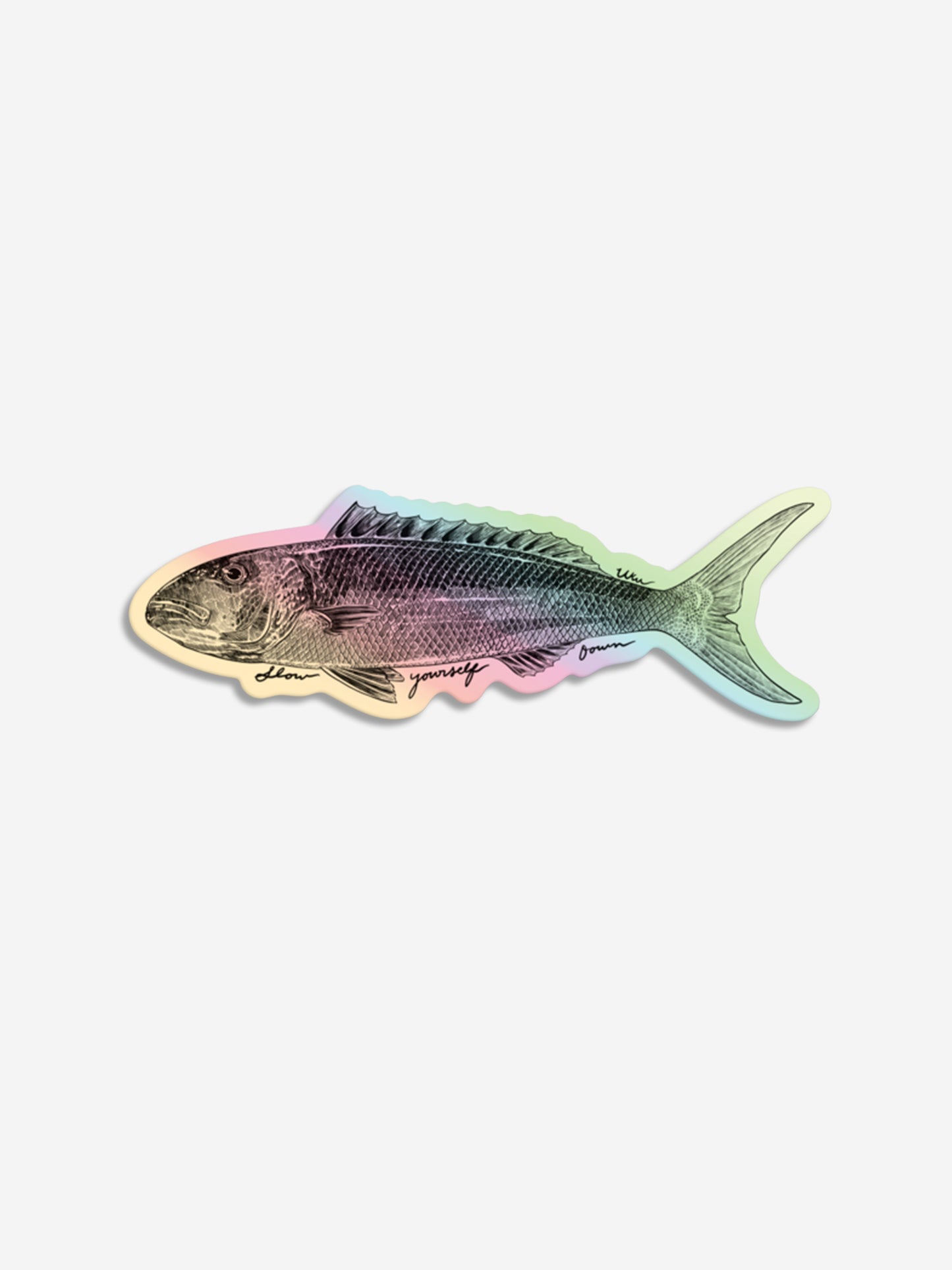 Uku Hologram Sticker | Slow Yourself Down