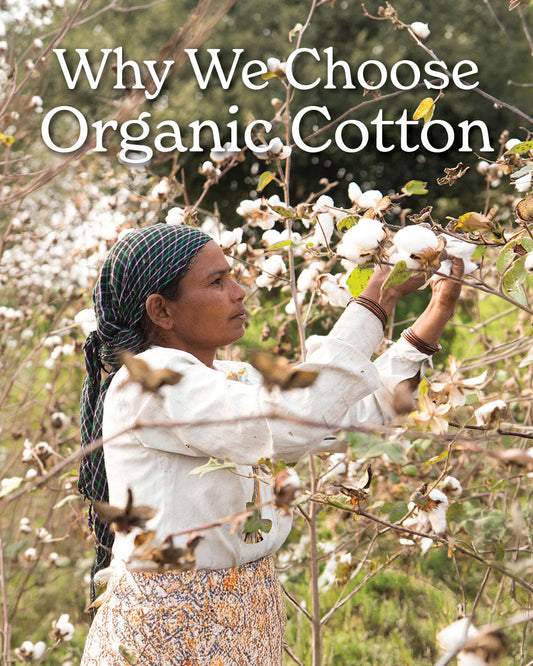 Why We Choose GOTS Certified Organic Cotton