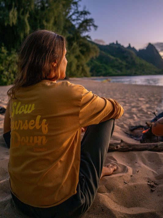 Ombre Retro L/S Crop - Slow Yourself Down